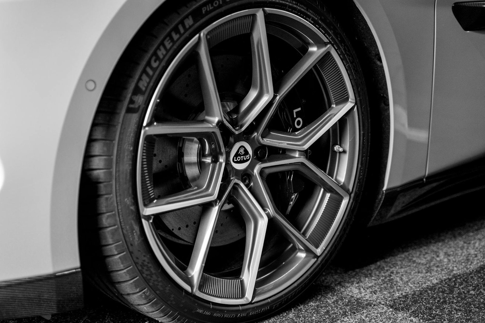 Lotus: An Expert Assessment for 2026